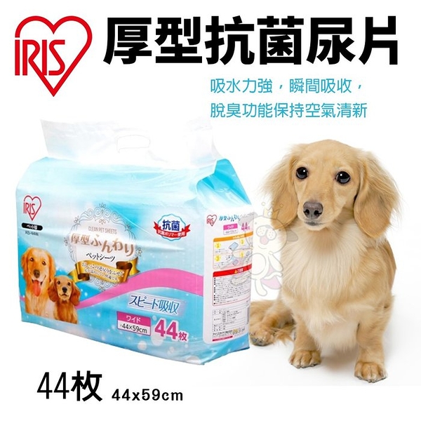 【單包】IRIS 厚型抗菌尿片 44片AS-44 吸水力強 瞬間吸收 寵物尿布『寵喵樂旗艦店』