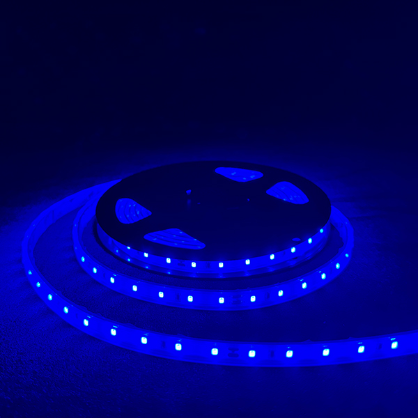 LED燈條 2米 燈色紅藍綠 寬度10mm 戶外防水 軟性燈條 可裁剪 加厚背膠 60顆/M LED 2835 CE認証