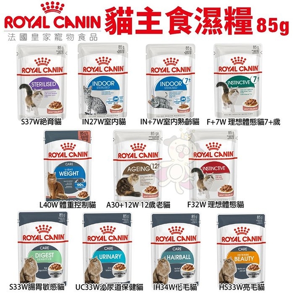 Royal Canin法國皇家 貓主食濕糧85g 質地細緻營養更好吸收 奧地利原裝進口 貓糧 貓餐包