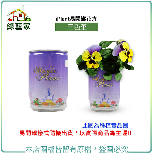 【綠藝家】iPlant易開罐花卉-三色堇