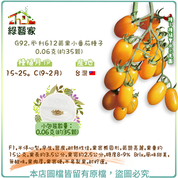【綠藝家】G92.凰利612黃果小番茄種子0.06克(約35顆)