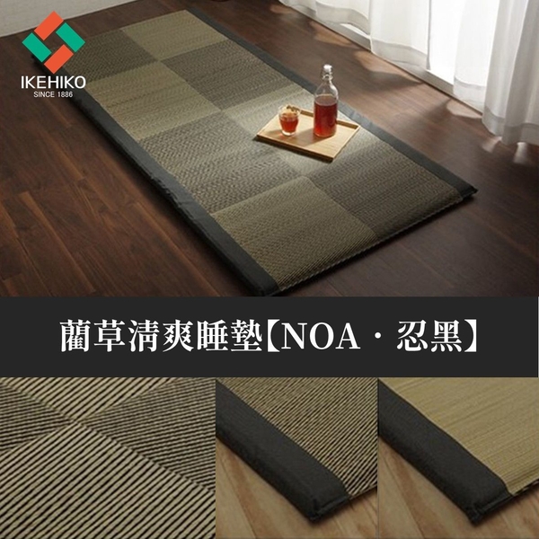 *日本 IKEHIKO【Noa】日本製造 大尺寸炎夏專屬消暑舒眠寢具(90 X 200 CM)-忍黑色 product thumbnail 3