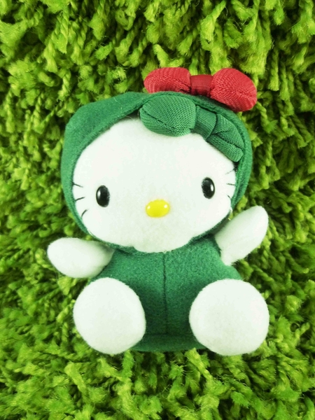 【震撼精品百貨】Hello Kitty 凱蒂貓~絨毛娃娃-北海道(綠藻)