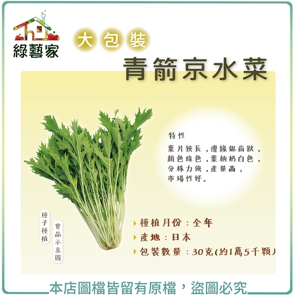 【綠藝家】大包裝A37.青箭京水菜種子30克