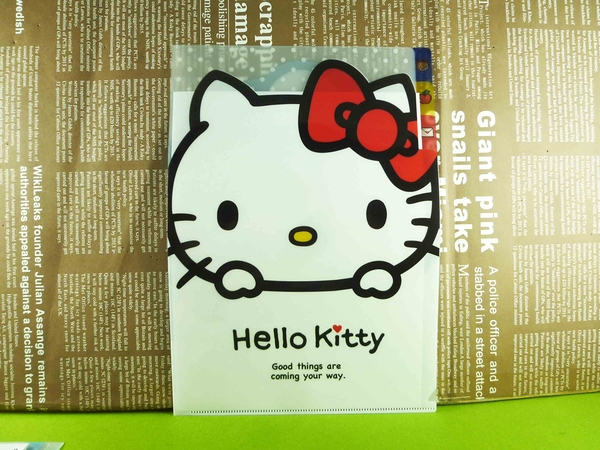 【震撼精品百貨】Hello Kitty 凱蒂貓~3格文件夾~熊熊【共1款】