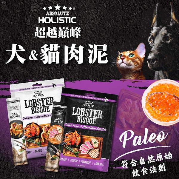 【培菓幸福寵物專營店】超越巔峰 巔峰肉泥 超越顛峰肉泥 犬貓可食用 犬肉泥 貓肉泥 寵物零食60g