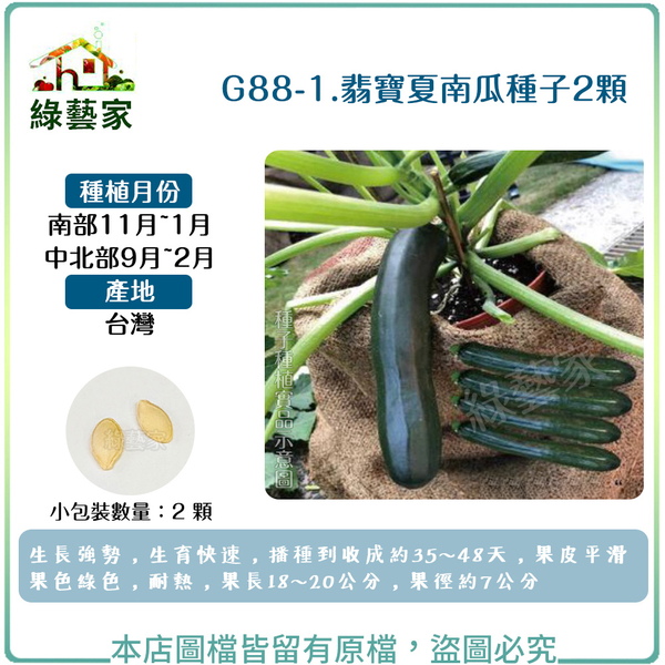 【綠藝家】G88-1.翡寶夏南瓜種子(綠櫛瓜.節瓜.嫩南瓜.美國南瓜) 2顆