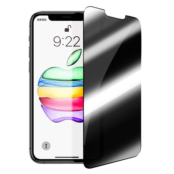 ACEICE for iPhone 12 mini 5.4吋 亮面/霧面磨砂 防窺滿版玻璃保護貼-黑 請選款式