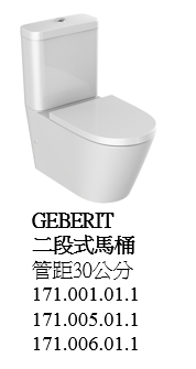 【麗室衛浴】德國高級GEBERIT ETERNITY 2 系列 雙體馬桶 A-194