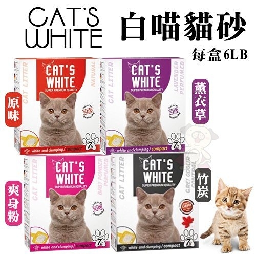 『寵喵樂旗艦店』【4盒免運】CATS WHITE《白喵貓砂》6LB 膨潤土凝結貓砂(礦物砂 膨潤土 凝結貓砂)