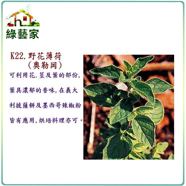 【綠藝家】大包裝K22.野花薄荷種子(奧勒岡) 1公克(約6500顆)