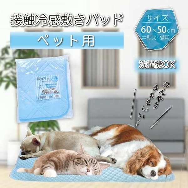 寵用涼感墊 60×50cm 睡墊 涼墊 寵物床 涼毯 透氣降溫 狗 貓 寵物 夏天必備 60×50cm 睡墊 涼墊 寵物床