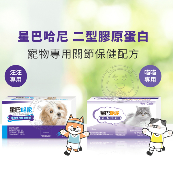 【培菓幸福寵物專營店】(免運)星巴哈尼 寵物保健第一品牌 犬貓 益生菌腸胃保健24包裝/盒 product thumbnail 2