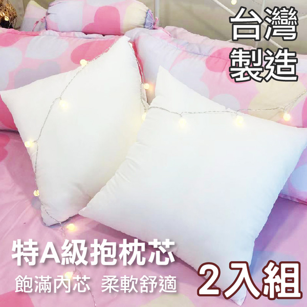 枕心、枕芯、抱枕、純白表布【2入】MIT台灣製造、高品質、柔軟舒適、寢居樂