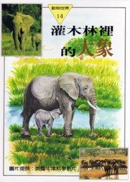 書立得-灌木林裡的大象 | 拾書所