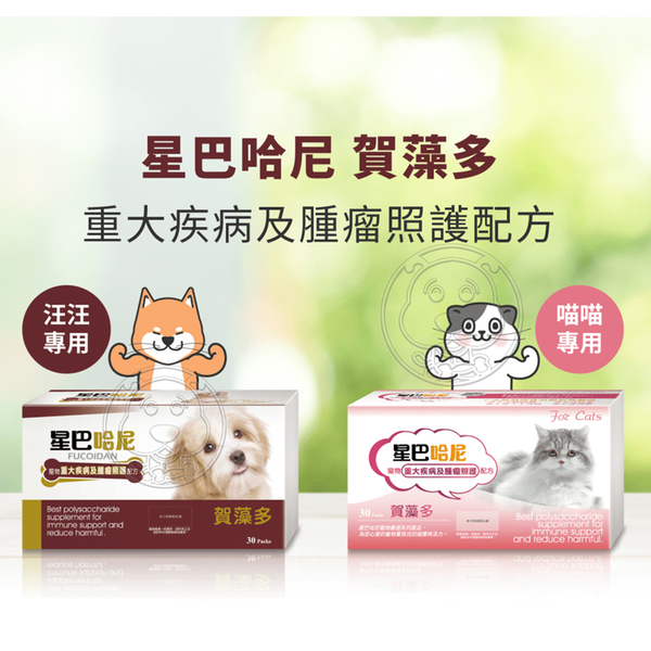 【培菓幸福寵物專營店】(免運)星巴哈尼 寵物保健第一品牌 犬貓 益生菌腸胃保健24包裝/盒 product thumbnail 6