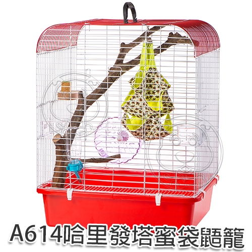 【培菓幸福寵物專營店】 A610麗寶樂園 蜜袋鼯籠 小動物籠 product thumbnail 3