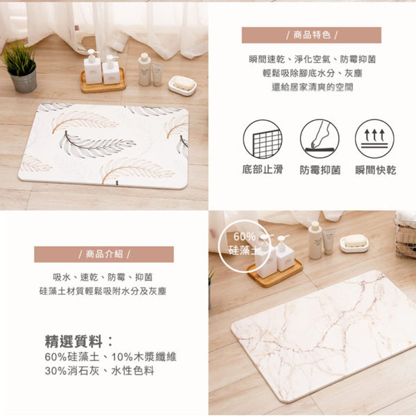 庫存出清 售完不補 DOLEE 彩繪硅藻土地墊 product thumbnail 2