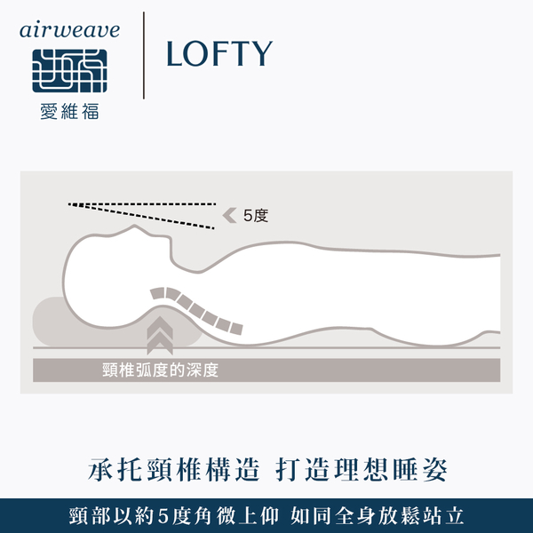 LOFTY 枕工房｜彈力透氣管枕 3號(百年專業睡枕品牌 透氣可水洗 支撐力佳 分散體壓 日本原裝) product thumbnail 5