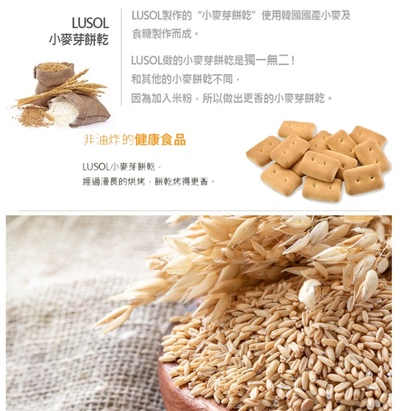 韓國 LUSOL 小麥芽餅乾 30g 寶寶餅 嬰兒餅乾 米餅 3059 product thumbnail 6