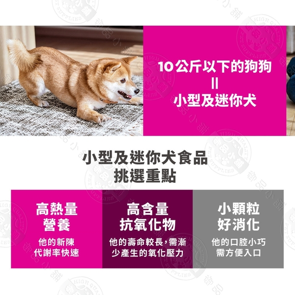 [送贈品] Hills 希爾思 603834 小型及迷你成犬7歲以上 雞肉大麥糙米 1.5KG 寵物 狗飼料 product thumbnail 3