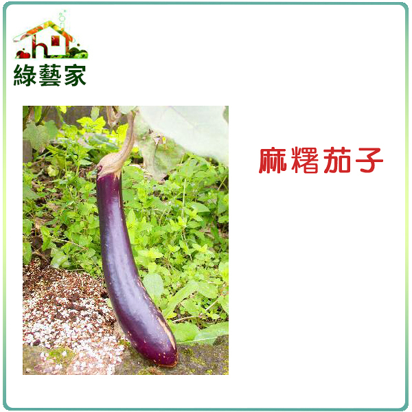 【綠藝家】大包裝G18.麻糬茄子(長型紫紅色 果皮)種子1000顆