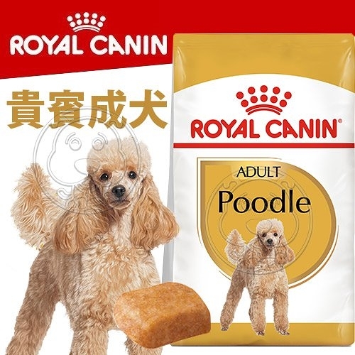 【培菓幸福寵物專營店】BHN 法國新皇家飼料《貴賓成犬PDA》3KG(超取限1包)