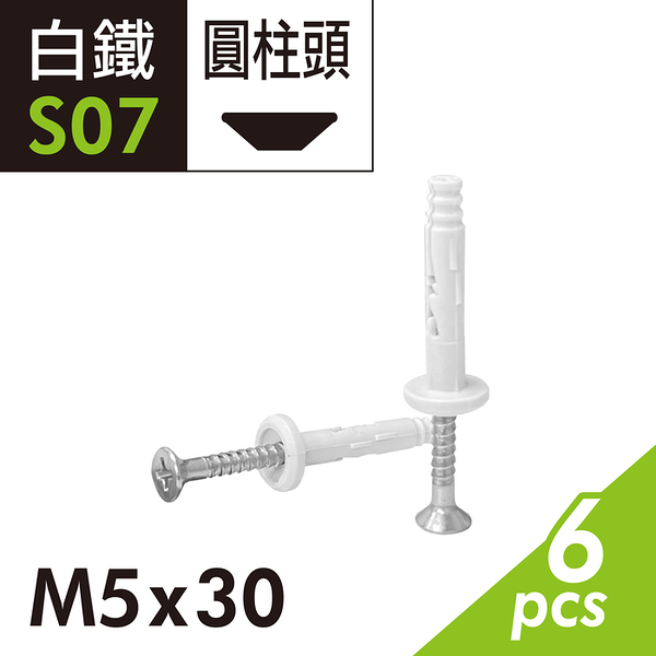 410白鐵敲擊式尼龍釘 M5x30mm 不銹鋼尼龍釘 快速釘 敲擊式尼龍快速釘 尼龍塑膠壁虎