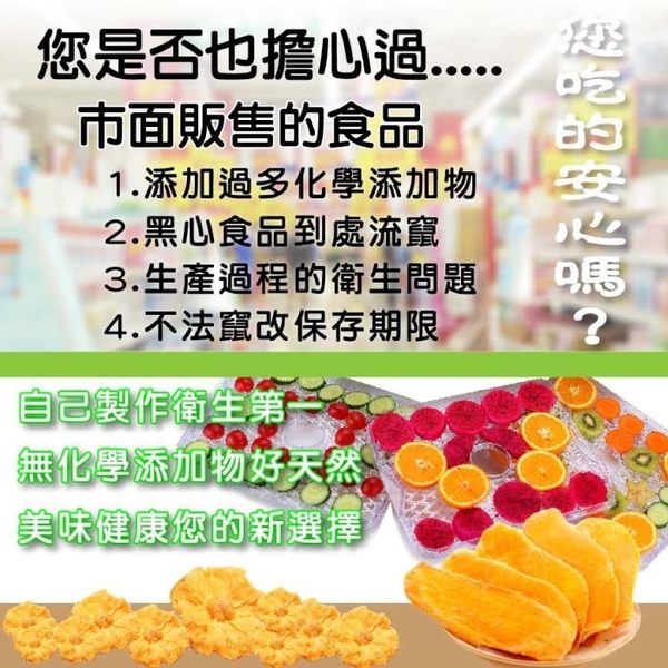 【富士電通】低溫健康烘培五層乾果機 / 旋鈕調控式 / 果乾 / 零食 / 寵物 / FT-FD01 -保固免運