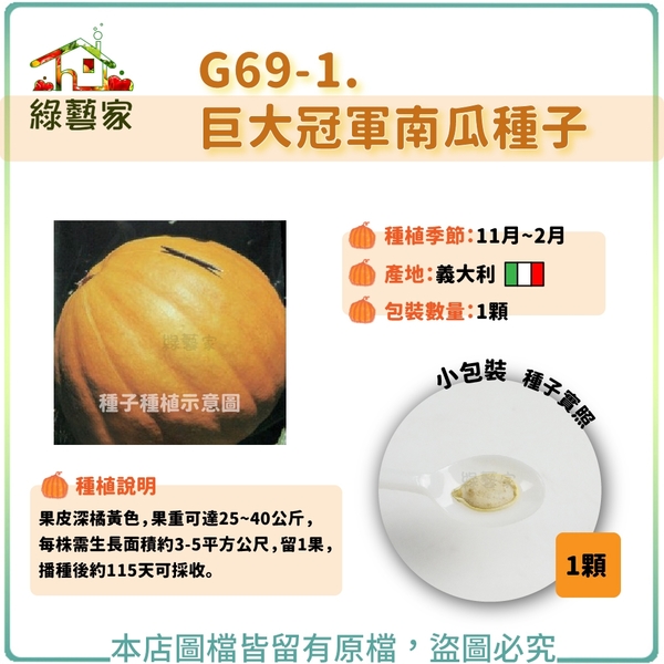 【綠藝家】G69-1.巨大冠軍南瓜種子1顆