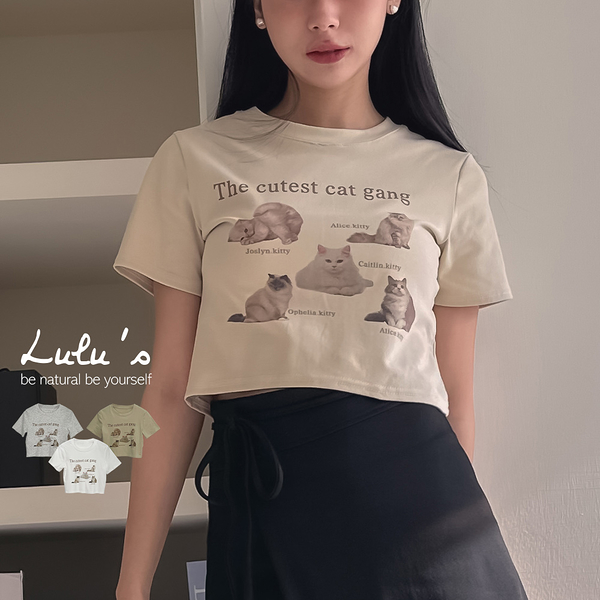 LULUS/kitty cat短版貓咪T恤３色【A01240252】