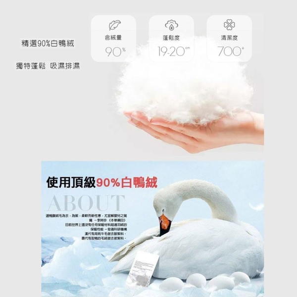 現貨漸層保暖女輕型立領羽絨背心90%白鴨絨4色M~4XL【24-25-88502-22】ibella 艾貝拉 product thumbnail 10