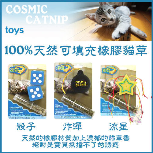 『寵喵樂旗艦店』美國 Ourpet's Durapet《宇宙貓100%天然可填充橡膠貓草》-六款造型 product thumbnail 2