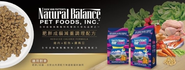 Natural Balance 肥胖成貓減重調理配方6LB‧貓糧『寵喵樂旗艦店』 product thumbnail 2