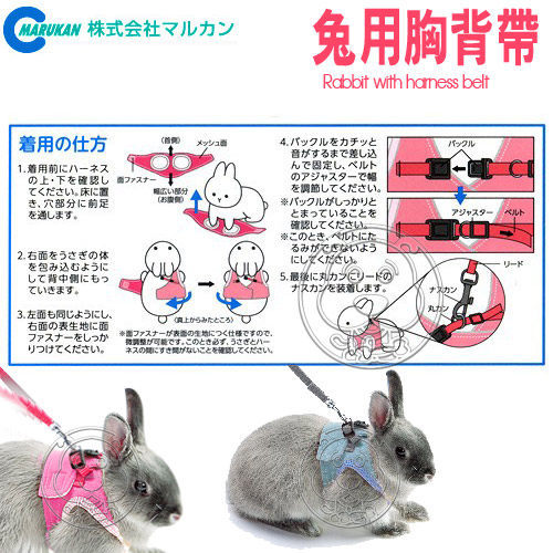 【培菓幸福寵物專營店】日本品牌MARUKAN》兔用胸背帶S (附有專用牽繩) product thumbnail 3