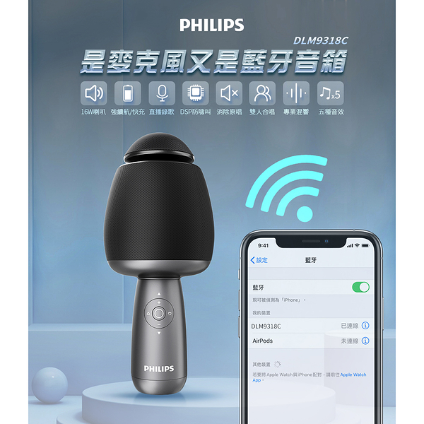 PHILIPS飛利浦 唱放一體K歌麥克風 DLM9318CB/96