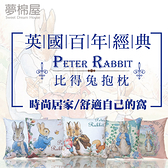 台製MIT-比得兔Peter Rabbit彼得兔經典系列抱枕-雙面花色-多款任選-夢棉屋