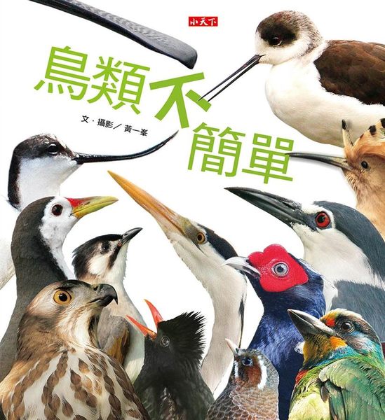 書立得-鳥類不簡單 | 拾書所