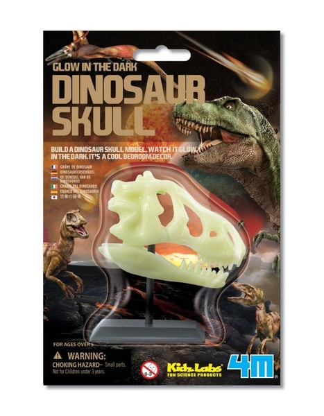 【4M】03308 科學探索-螢光恐龍頭骨 Glow in the Dark Dinosaur Skull