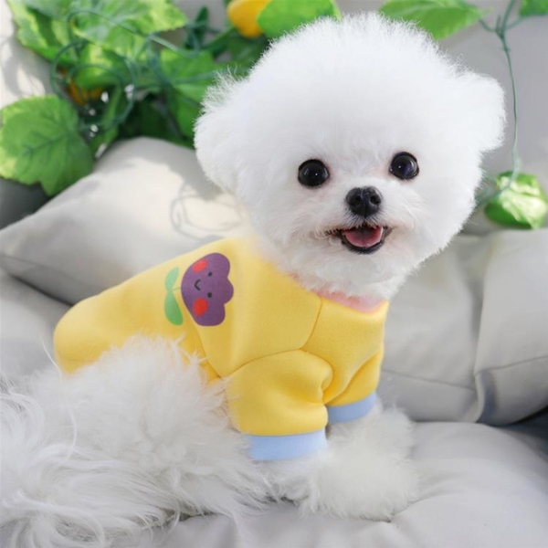 【狗衣服夏裝】春季小型幼犬泰迪貴賓貓咪比熊博美雪納瑞約克夏寵物狗狗衣服