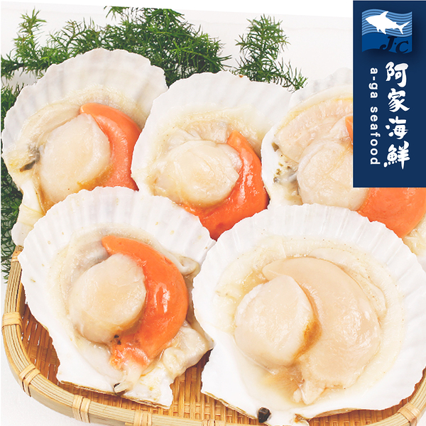 【阿家海鮮】生凍半殼扇貝 (500g±10%/包-6顆入/包)