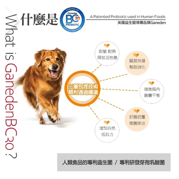 【培菓幸福寵物專營店】NULO 紐樂芙無穀高肉全能犬 含85％動物性蛋白質 犬糧(超取限2包) product thumbnail 8