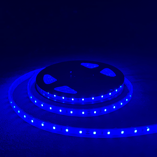 [現貨]LED燈條2米 燈色紅藍綠 寬度10mm 戶外防水 軟性燈條 可裁剪 加厚背膠 60顆/M LED 2835 CE認証