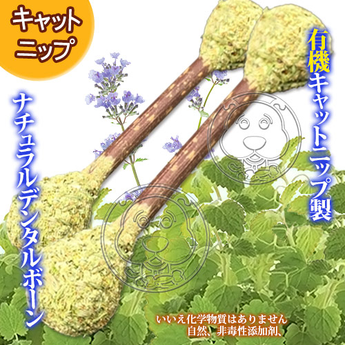 【培菓幸福寵物專營店】 自然鮮系列》貓薄荷花苞潔牙棒貓玩具NF-013 product thumbnail 2