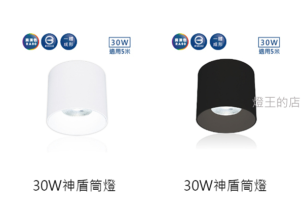 【燈王的店】舞光 LED 30W 筒燈 白框/黑框 36° 神盾筒燈 全電壓 LED-CEA30