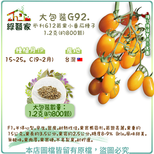【綠藝家】大包裝G92.凰利612黃果小番茄種子1.2克(約800顆)