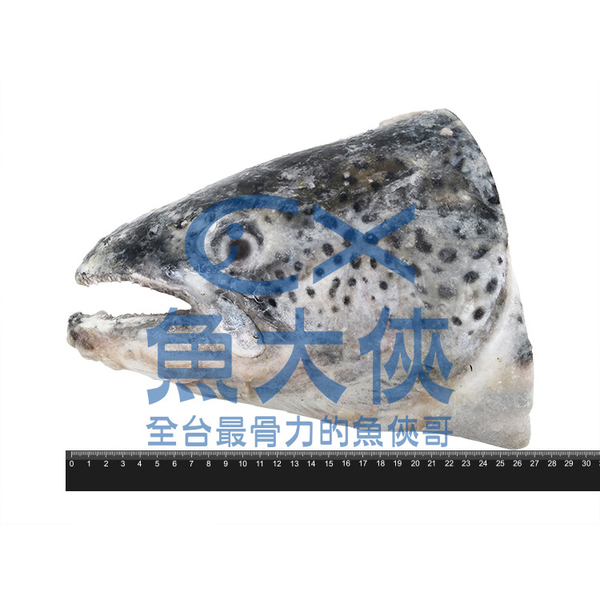 半顆鮭魚頭(含下巴/約400~500g/半顆)無真空#見內文-1C7B【魚大俠】FH032 product thumbnail 2