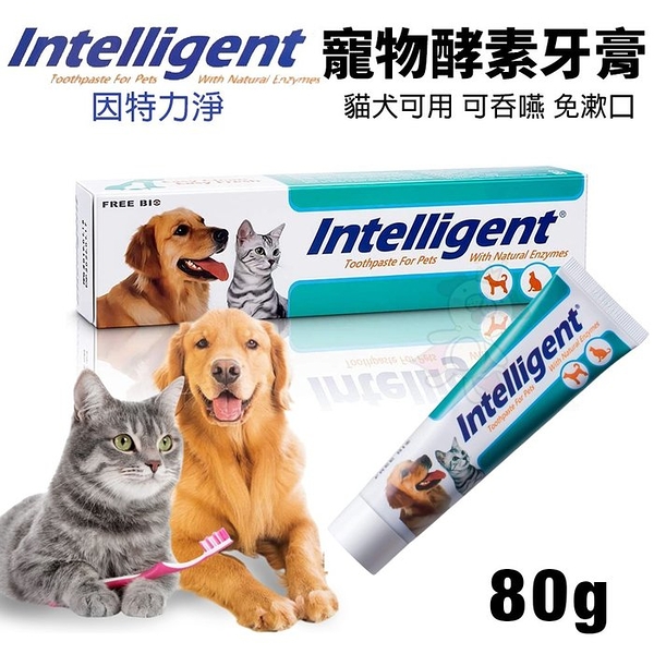 INTELLIGENT 因特力淨 寵物酵素牙膏 80g 可吞食 免漱口 牙周護理 寵物牙膏『寵喵樂旗艦店』