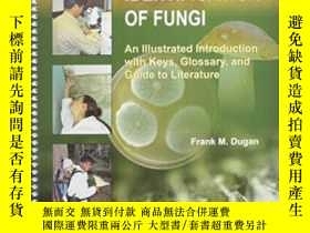 二手書博民逛書店The罕見Identification Of Fungi: An Illustrated Introduction