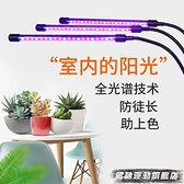 植物燈 哈哈笑 多肉補光燈 USB夾子式上色防徒全光譜LED花卉植物燈生長燈 風馳